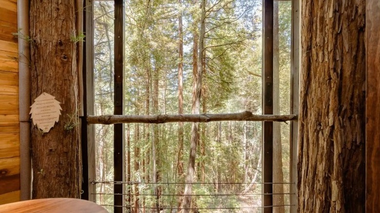 You Can Stay In A California Airbnb That's A Treehouse Shaped Like A ...