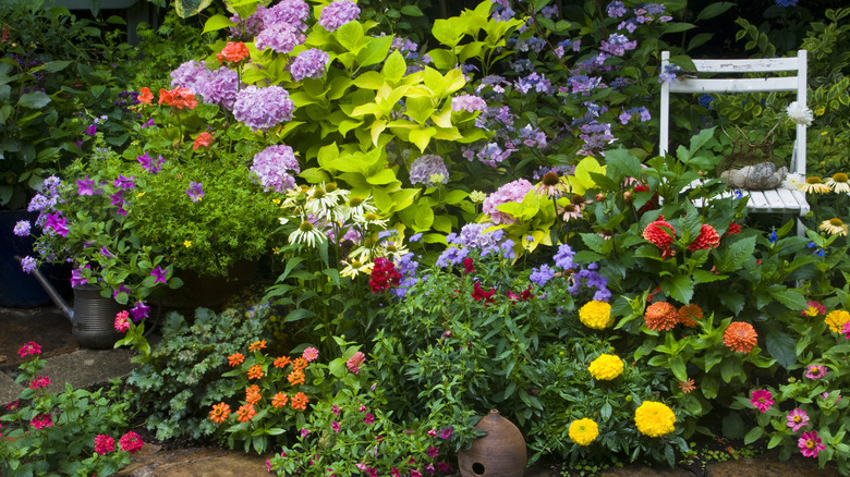 Varied plants with colorful flowers blooming in a garden with white chair