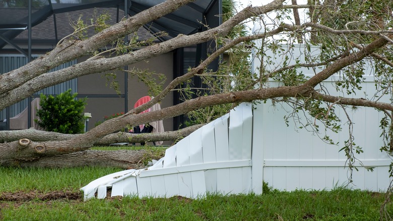 tree down on vinyl fence