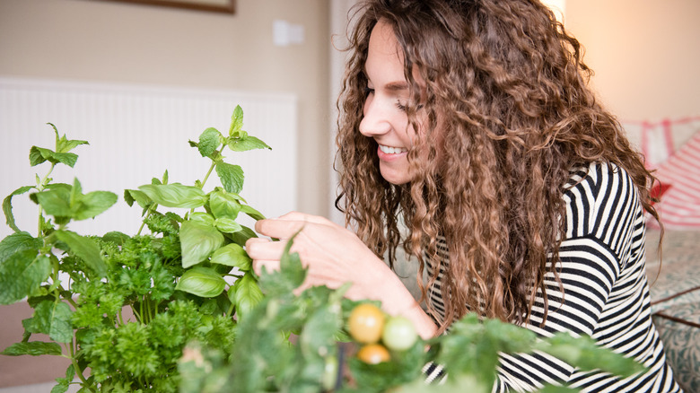 woman taking care of mint plant