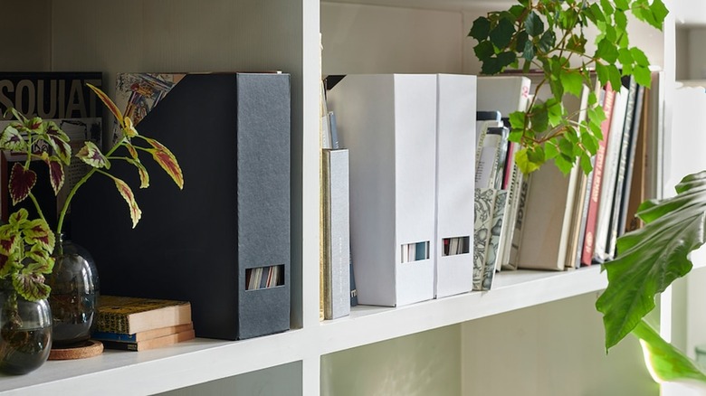 Magazine holders on shelf