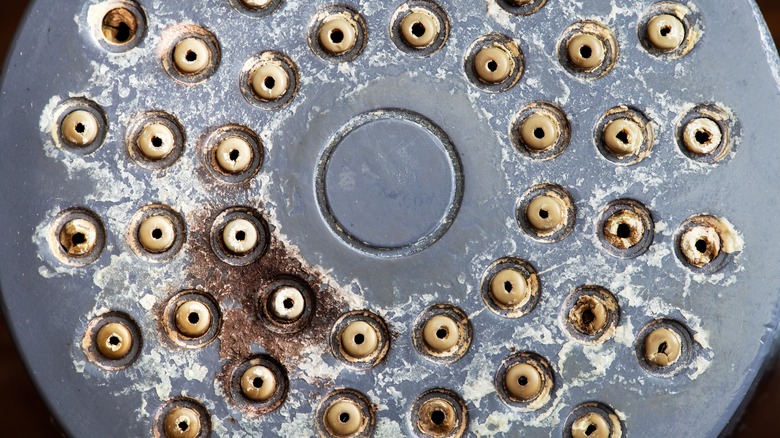 Mold and limescale on showerhead