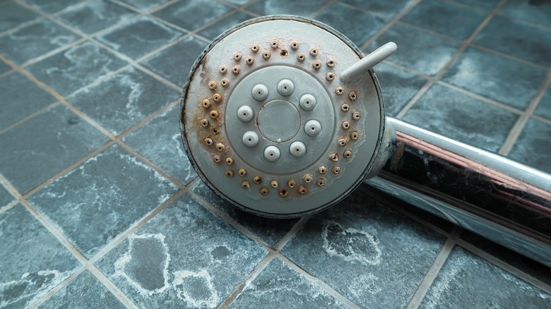 Dirty showerhead and shower