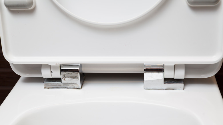 Metal hinges on toilet seat