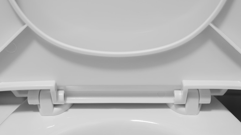 Rear side of toilet seat