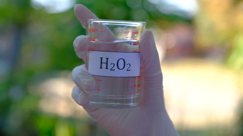 beaker of hydrogen peroxide outdoors