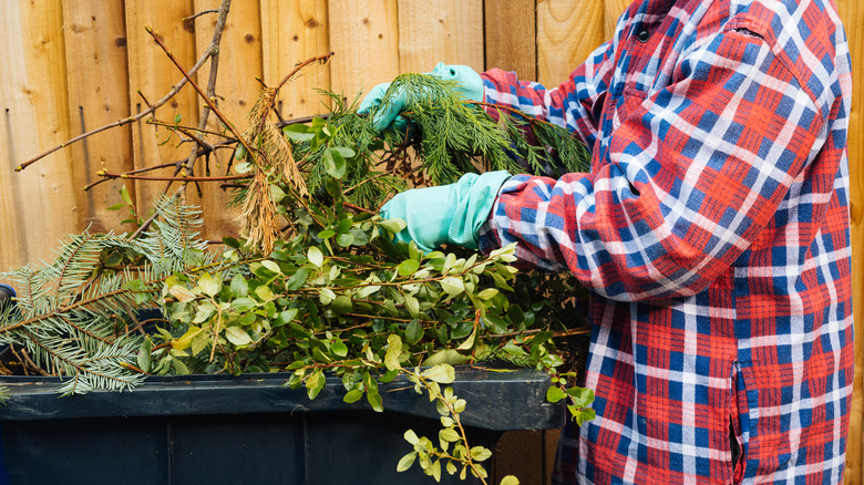 Person throwing away clippings