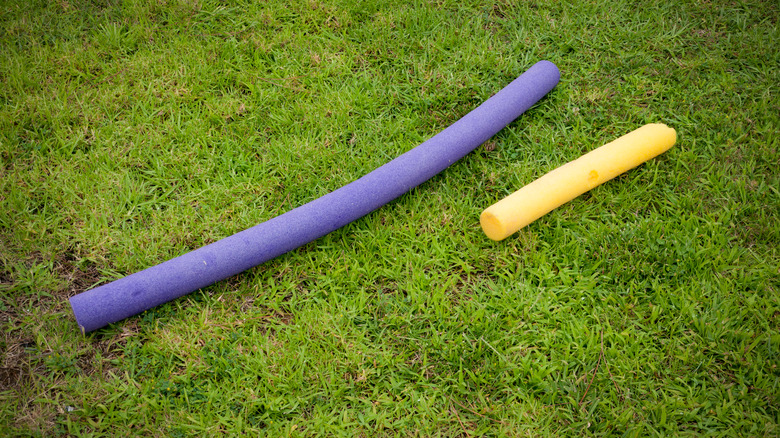 Pool noodle on grass 