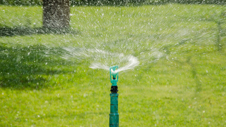 Sprinkler on lawn