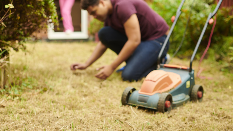 Man dealing with brown grass