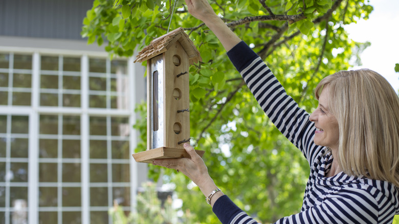 Woman hanging feeder in tree