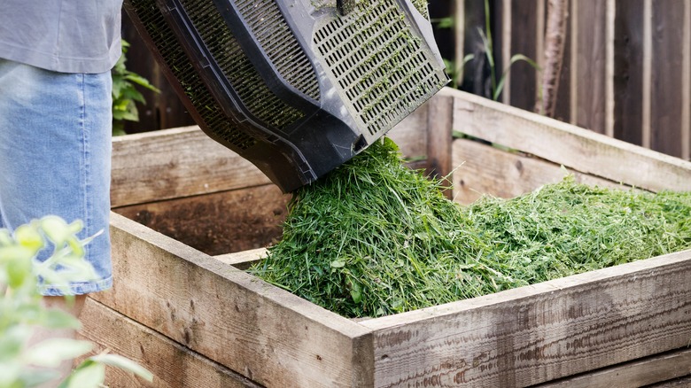 Grass in composting bin