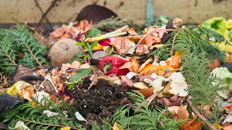 Composting pile