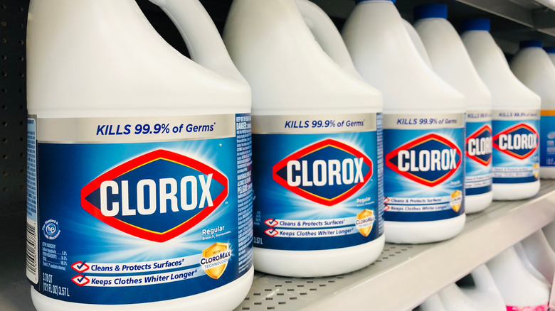 Bottles of bleach at store