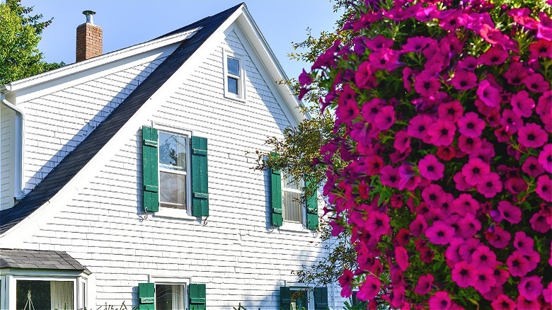 House with shingle siding