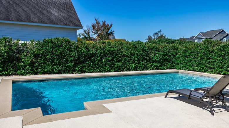 Backyard swimming pool