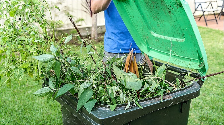 Garbage full of yard trimmings