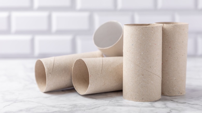 empty toilet paper rolls