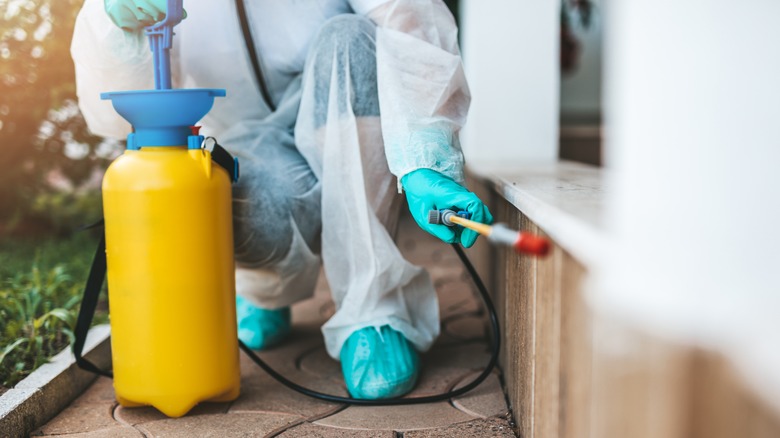 An exterminator sprays pesticide on the outside of a home