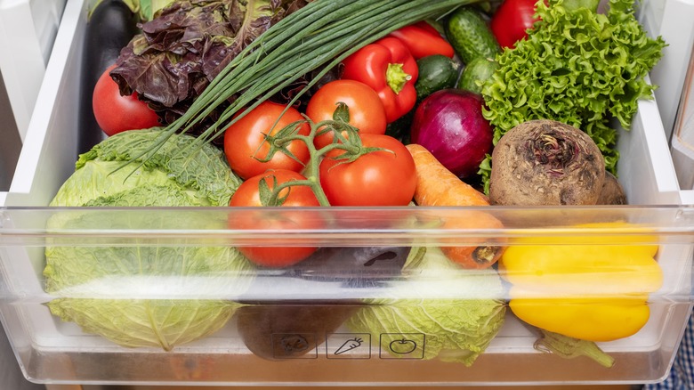 Vegetable drawer 