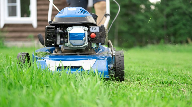 person mowing lawn