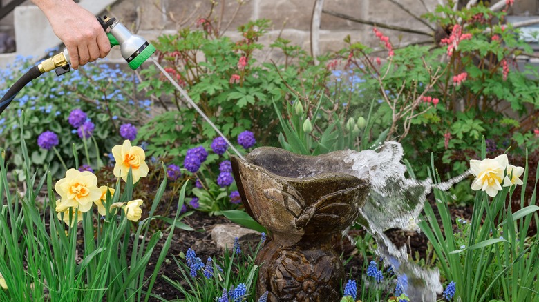 Person cleaning a birdbath