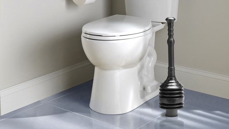 Toilet and flange plunger