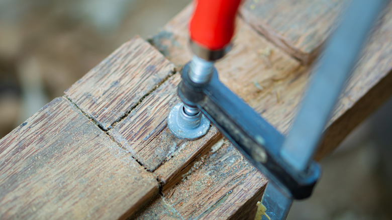 Wood clamped for curing