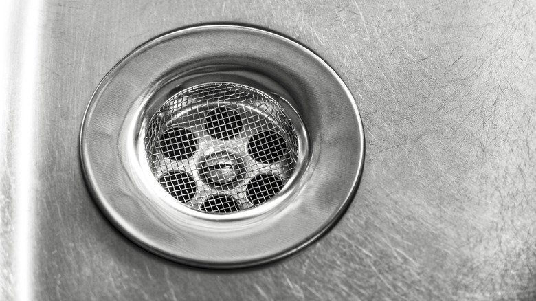 Kitchen sink strainer with mesh