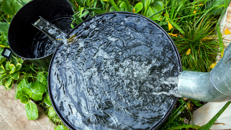 A rain barrel with overflow bucket