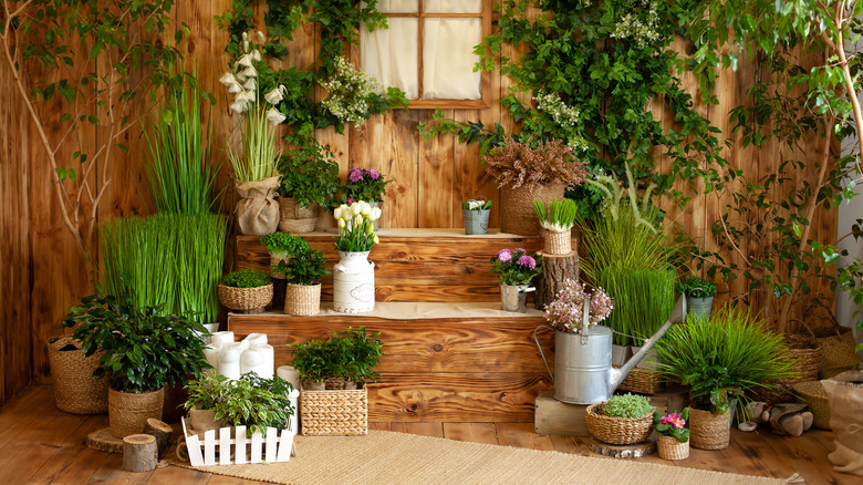 A garden porch, potted plants